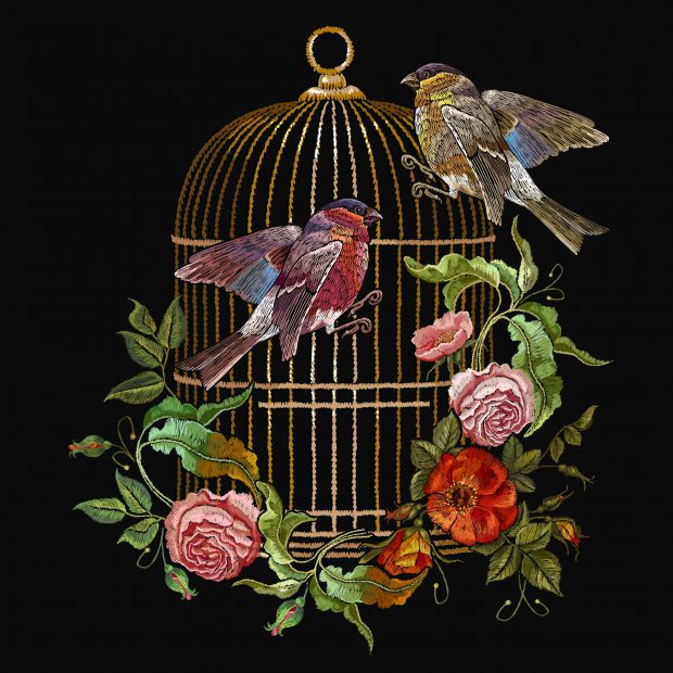 Embroidery birds and birds cage and flowers vector. Classical embroidery bullfinch and titmouse, golden cage, vintage buds of wild roses. Spring fashion art, template for design of clothes, t-shirt Embroidery birds and birds cage and flowers vector. Classical embroidery bullfinch and titmouse, golden cage, vintage buds of wild roses. Spring fashion art, template for design of clothes, t-shirt